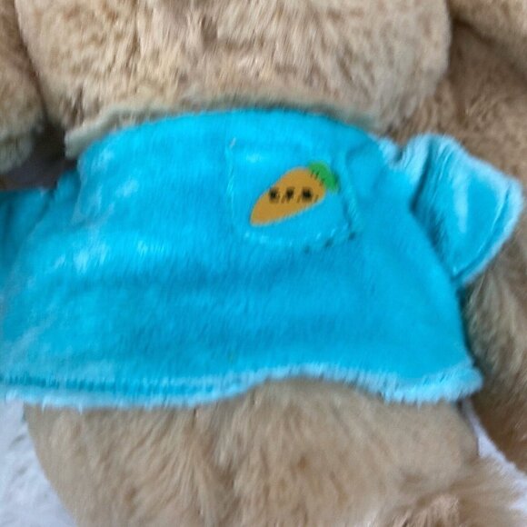 NEW Easter Funny Bunny Book Stuffed Bunny Set By Kate Palazzolo Easter - Picture 7 of 9